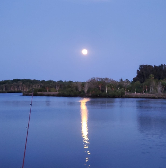 Meet your Posher, Mike - Picture 1 of 1